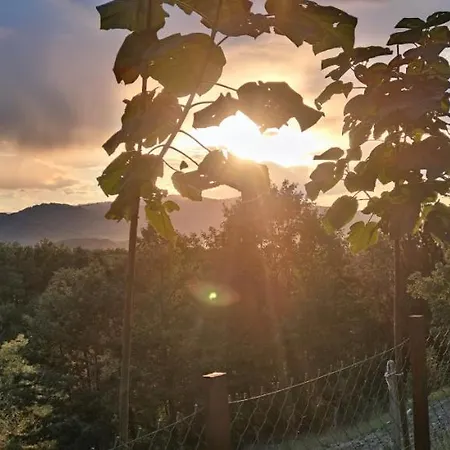 Vilă Seoski Turizam Feniks - Ostrog Kosjeric