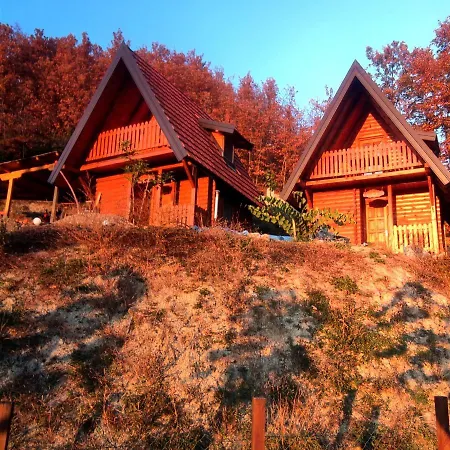 Villa Seoski Turizam Feniks - Ostrog *