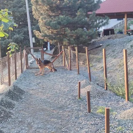 Seoski Turizam Feniks - Ostrog *