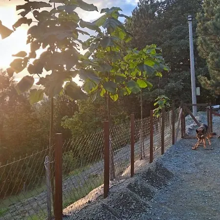 Seoski Turizam Feniks - Ostrog Villa Kosjeric