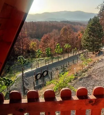 Vilă Seoski Turizam Feniks - Ostrog *
