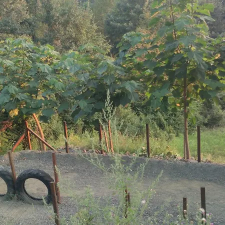 Seoski Turizam Feniks - Ostrog Villa Kosjeric