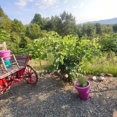 Villa Seoski Turizam Feniks - Ostrog Kosjeric