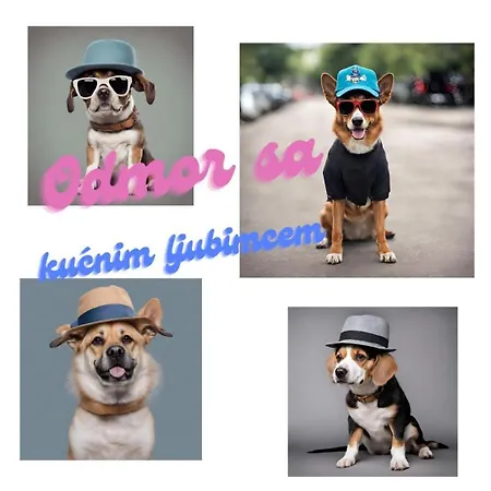 Seoski Turizam Feniks - Ostrog *