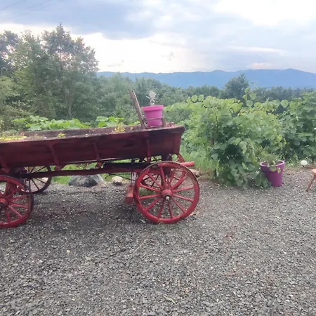 فيلة Seoski Turizam Feniks - Ostrog