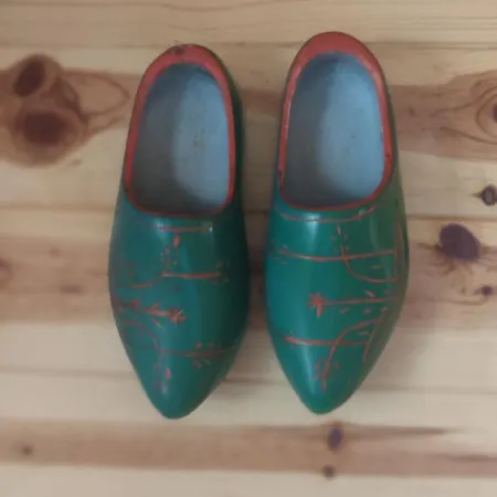 Villa Seoski Turizam Feniks - Ostrog