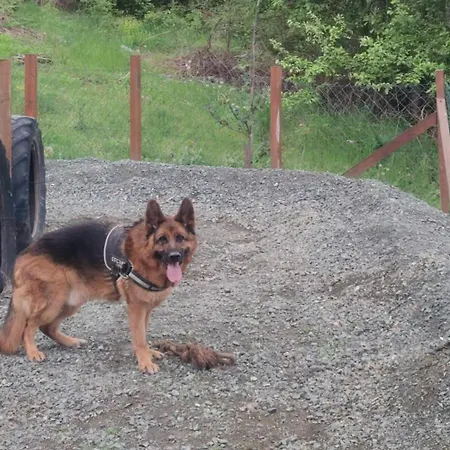 Seoski Turizam Feniks - Ostrog