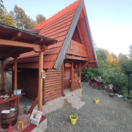 Seoski Turizam Feniks - Ostrog فيلة Kosjeric